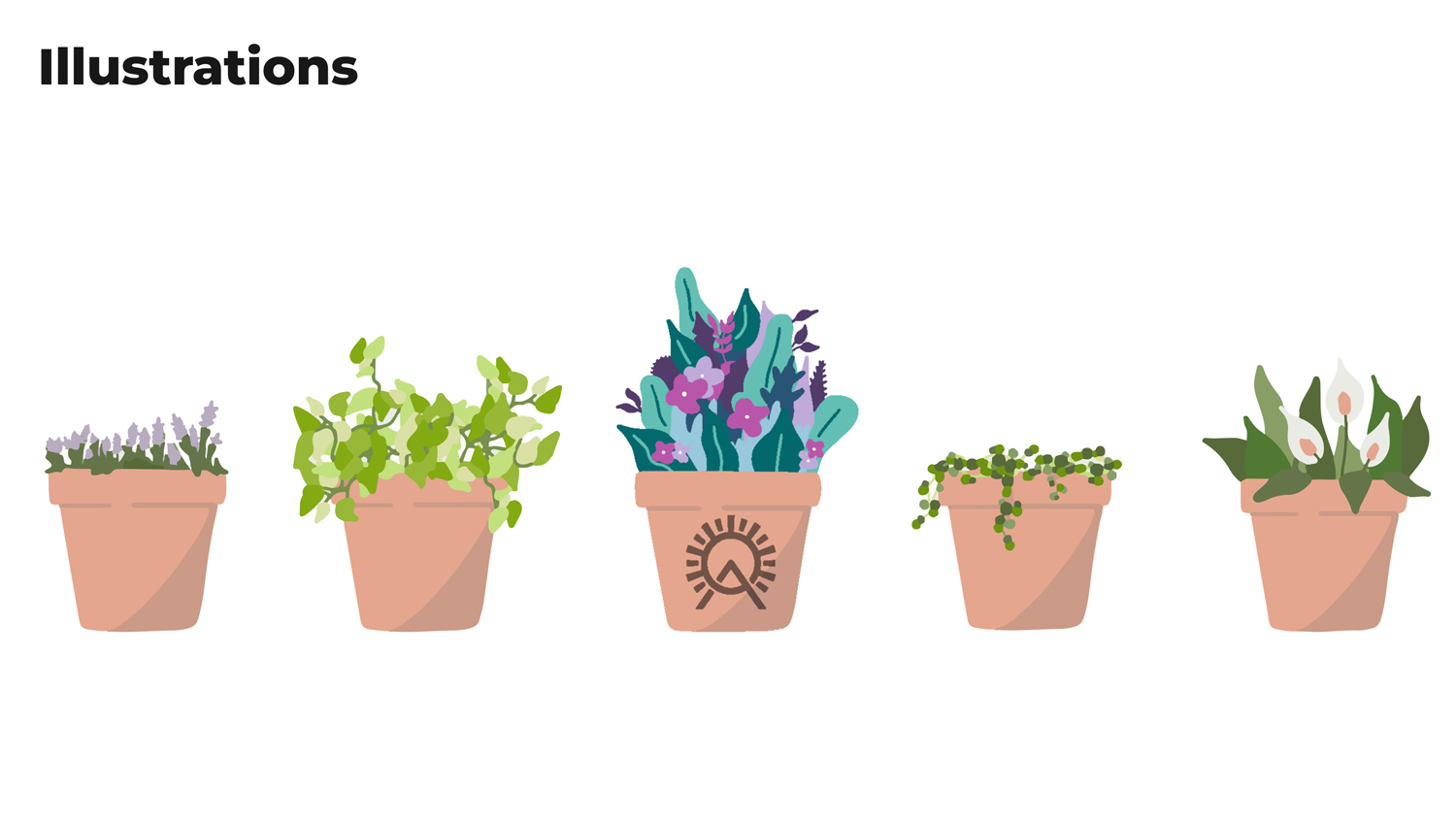 Illustrations of five potted plants, center one having the Oasis Alliance logo marked on the pot.